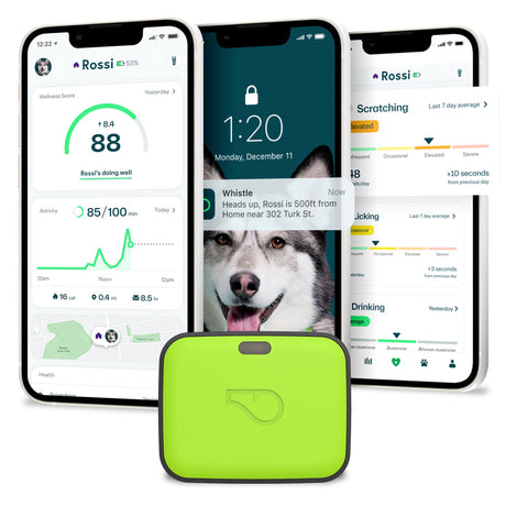 Whistle Go Explore/The Ultimate Health + GPS Location Tracker for Pets/Grey - Build Your Ideas