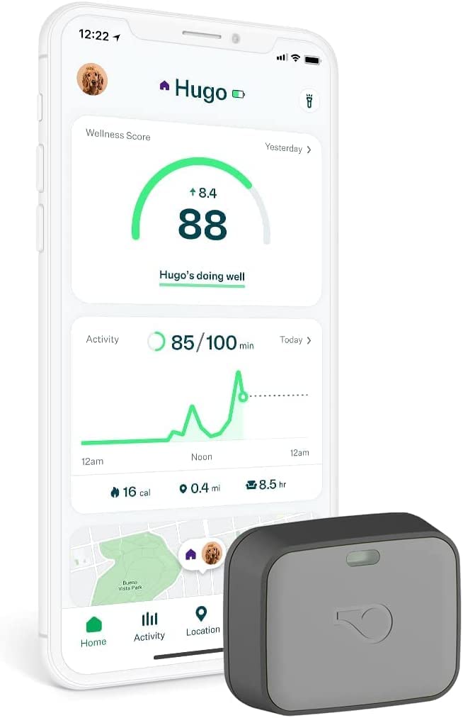 Whistle Go Explore/The Ultimate Health + GPS Location Tracker for Pets/Grey - Build Your Ideas