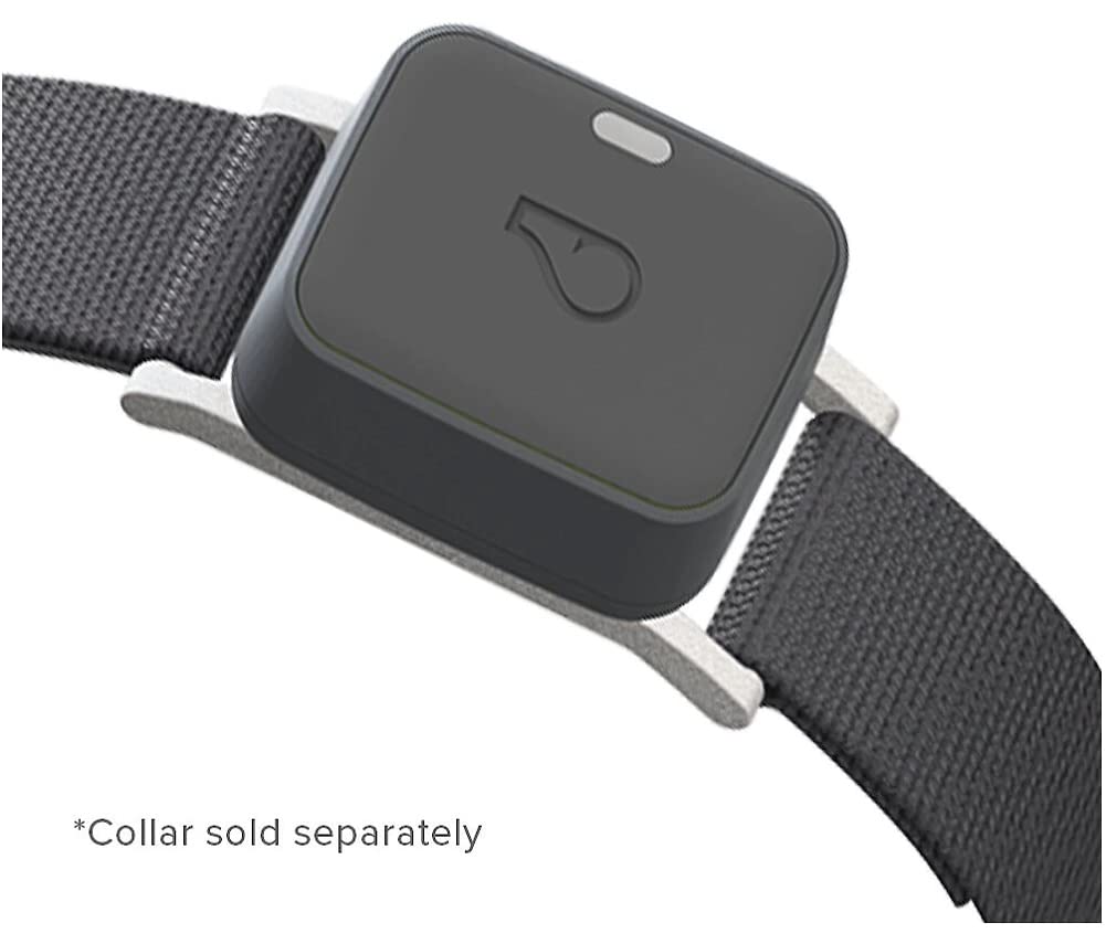 Whistle Go Explore/The Ultimate Health + GPS Location Tracker for Pets/Grey - Build Your Ideas