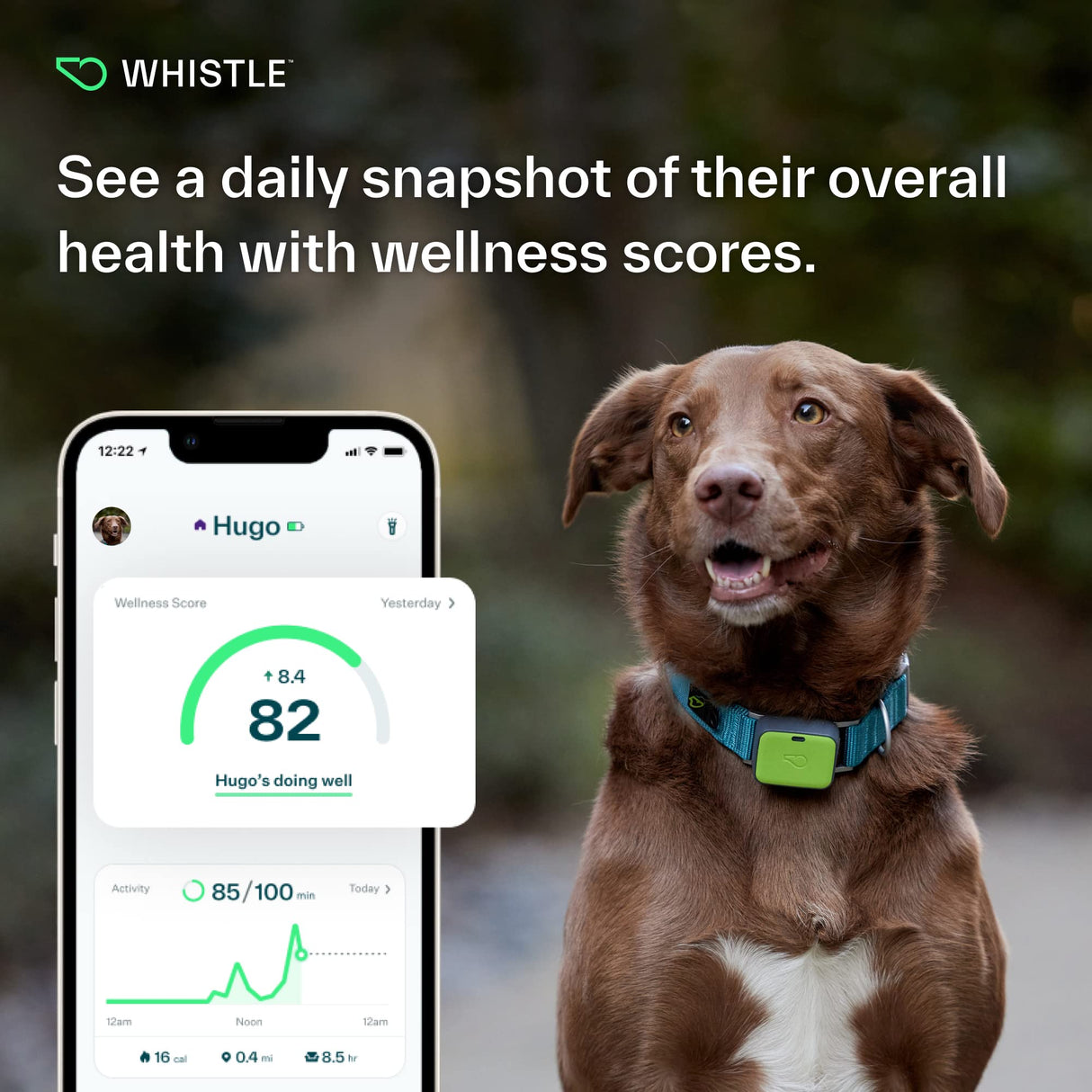 Whistle Go Explore/The Ultimate Health + GPS Location Tracker for Pets/Grey - Build Your Ideas