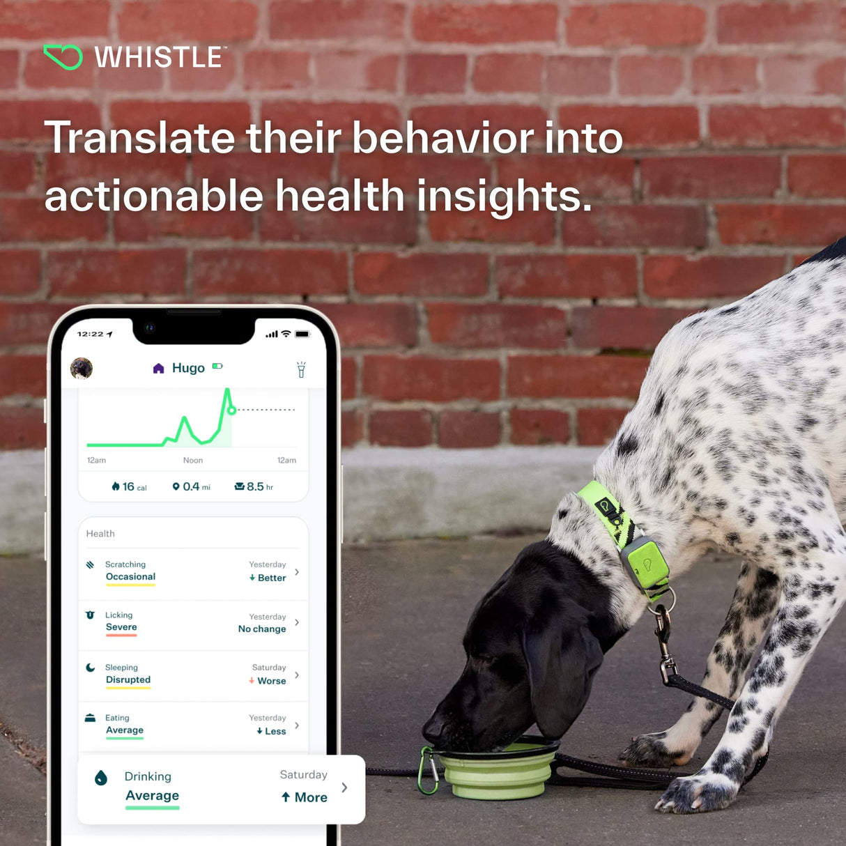 Whistle Go Explore/The Ultimate Health + GPS Location Tracker for Pets/Grey - Build Your Ideas