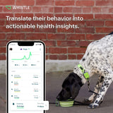Whistle Go Explore/The Ultimate Health + GPS Location Tracker for Pets/Grey - Build Your Ideas